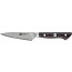 Zwilling Tanrei paring knife, 100 mm, 4 in, 1026050 / 30570-101